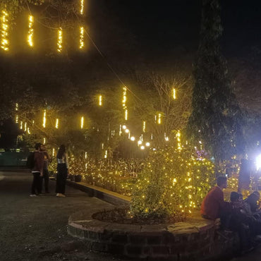 Fairy Light Decorations