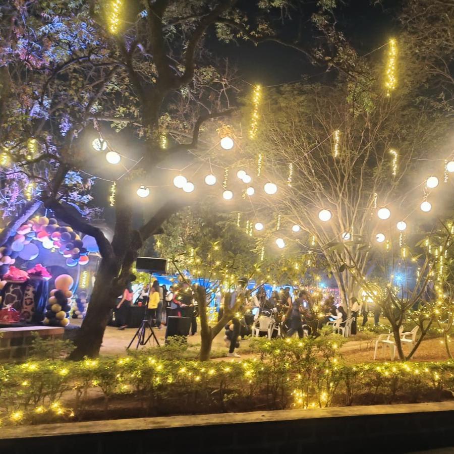 Fairy Light Decorations