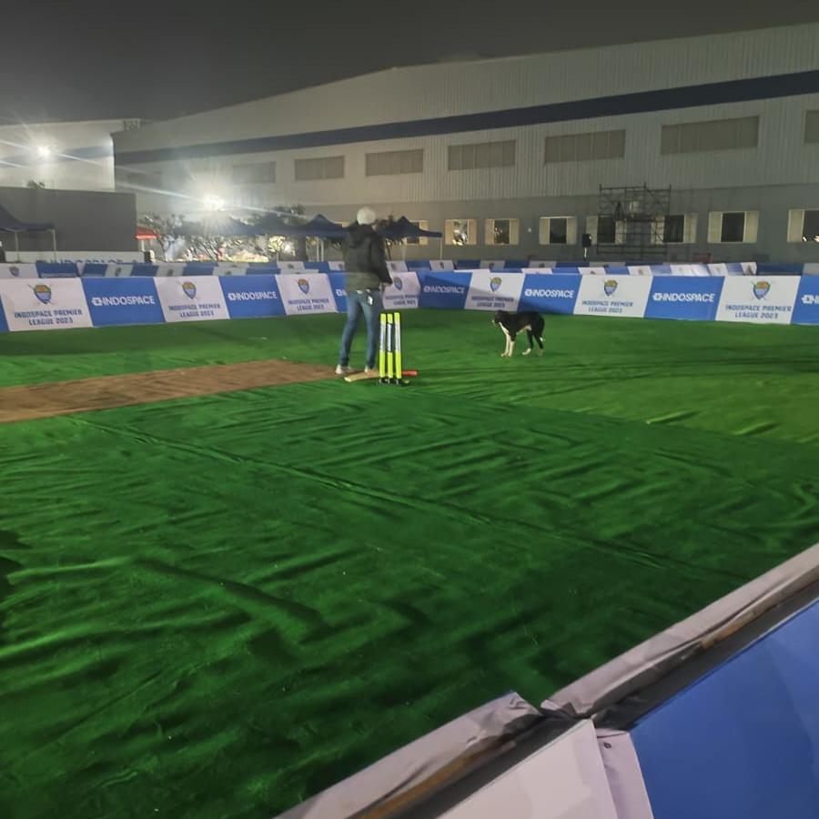 Cricket Set Rental