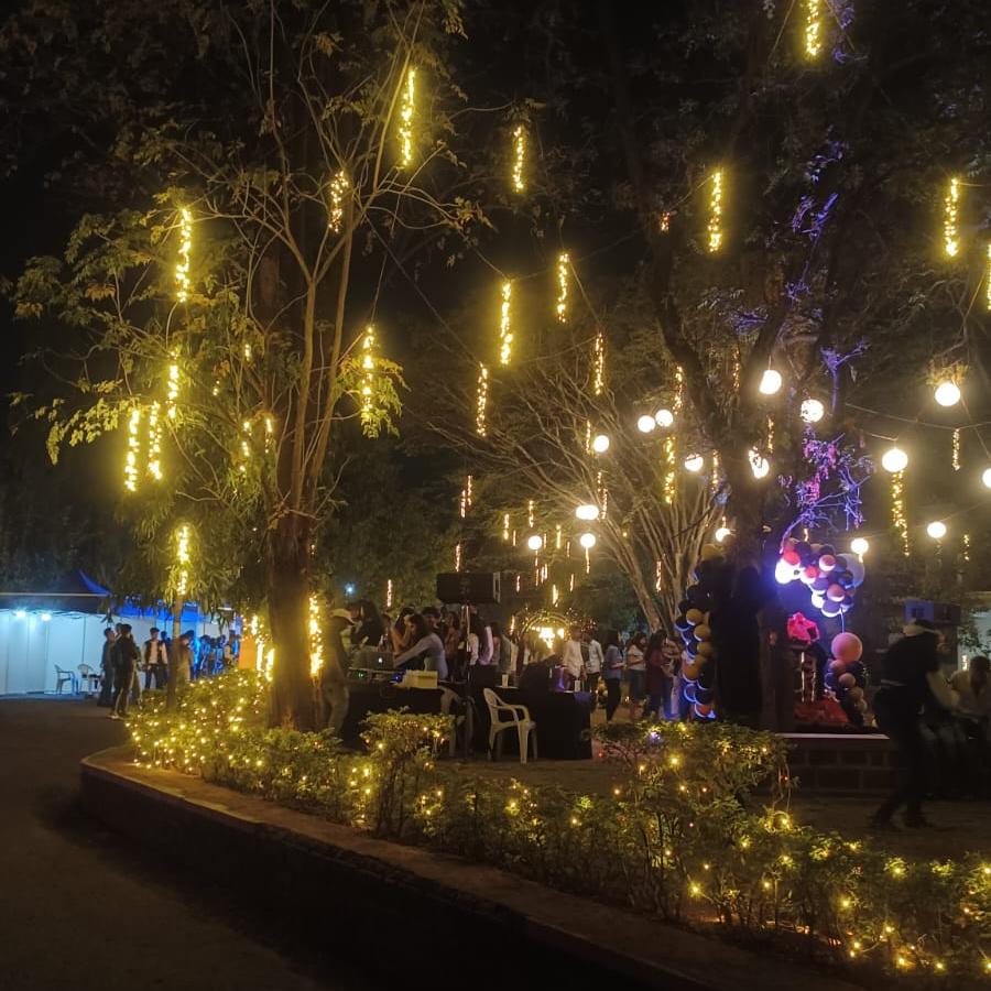 Fairy Light Decorations