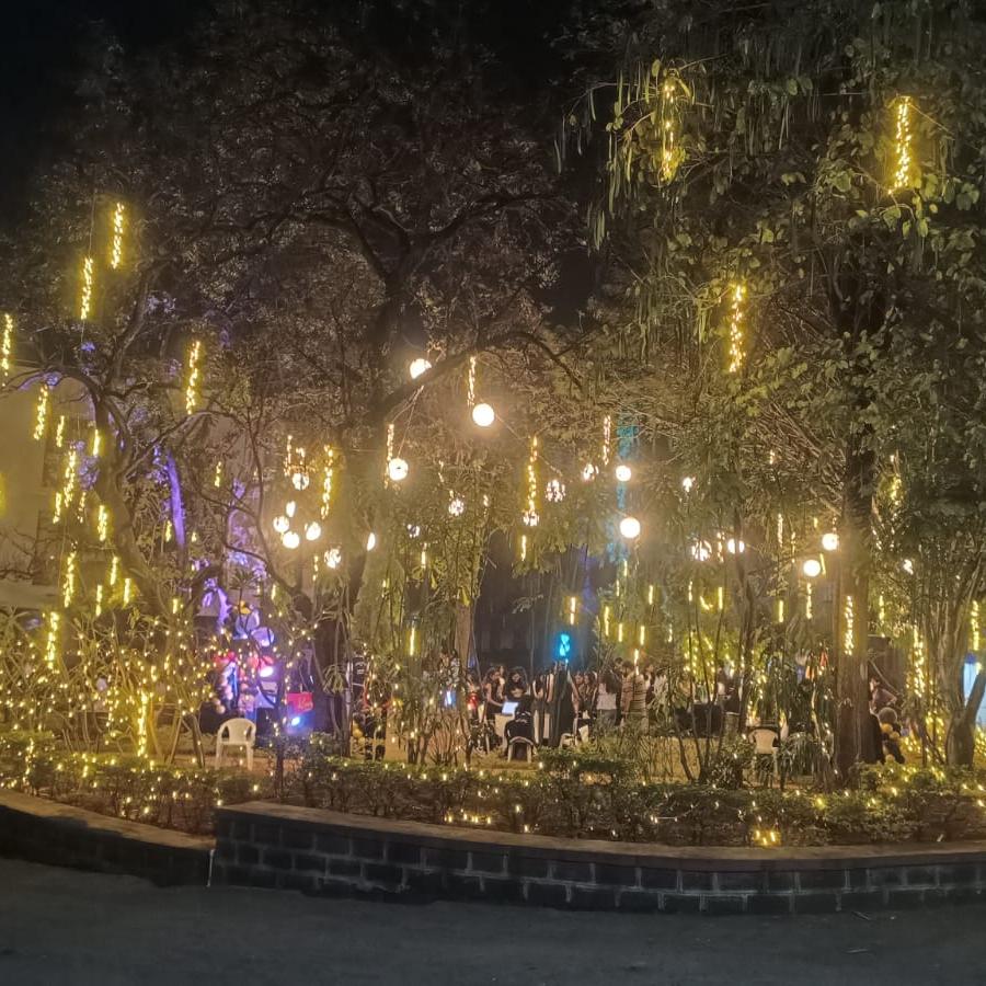 Fairy Light Decorations