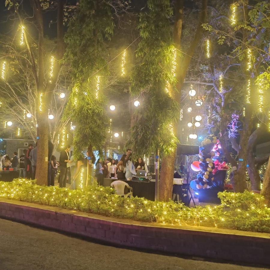 Fairy Light Decorations