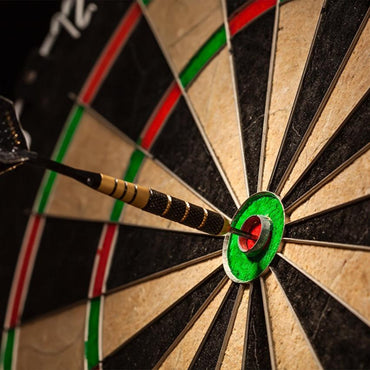 Darts Game