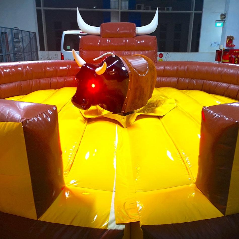 Bull Rider Experience