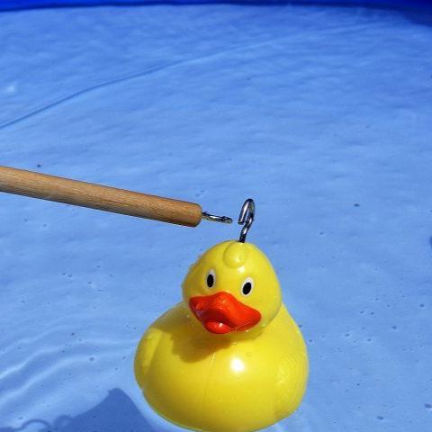 Duck Fishing Game